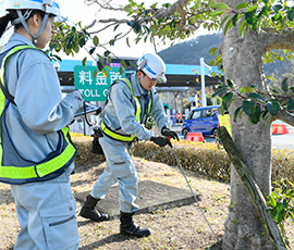 緑地点検